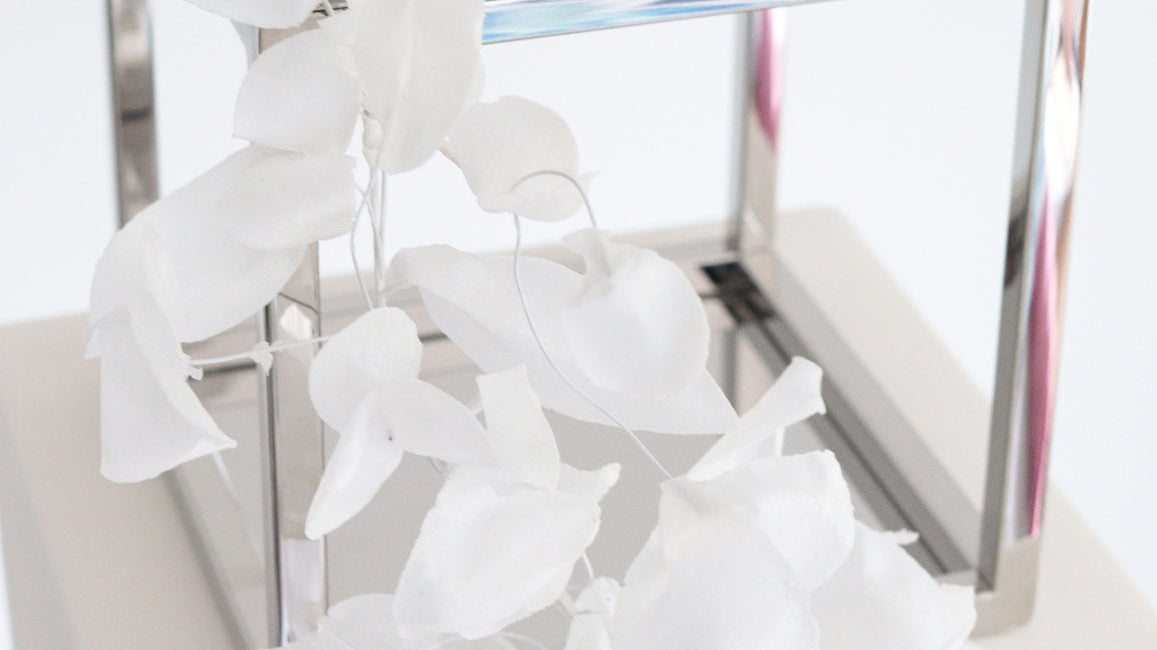 PropEdit: Top 5 Cake Design Trends for 2026