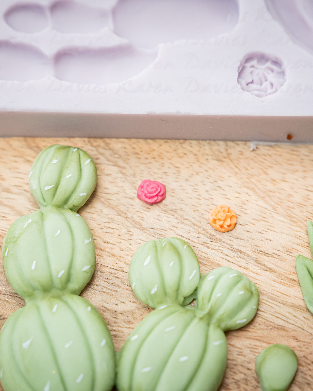 Cactus Garden Silicone Mould