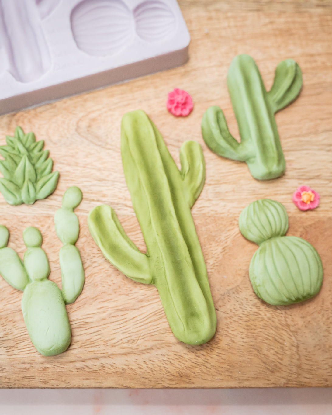 Cactus Garden Silicone Mould