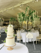 The Hourglass Scandinavian birch stand - Prop Options