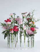 Floral Vials - Additional Replacement Vials x 5 - Prop Options